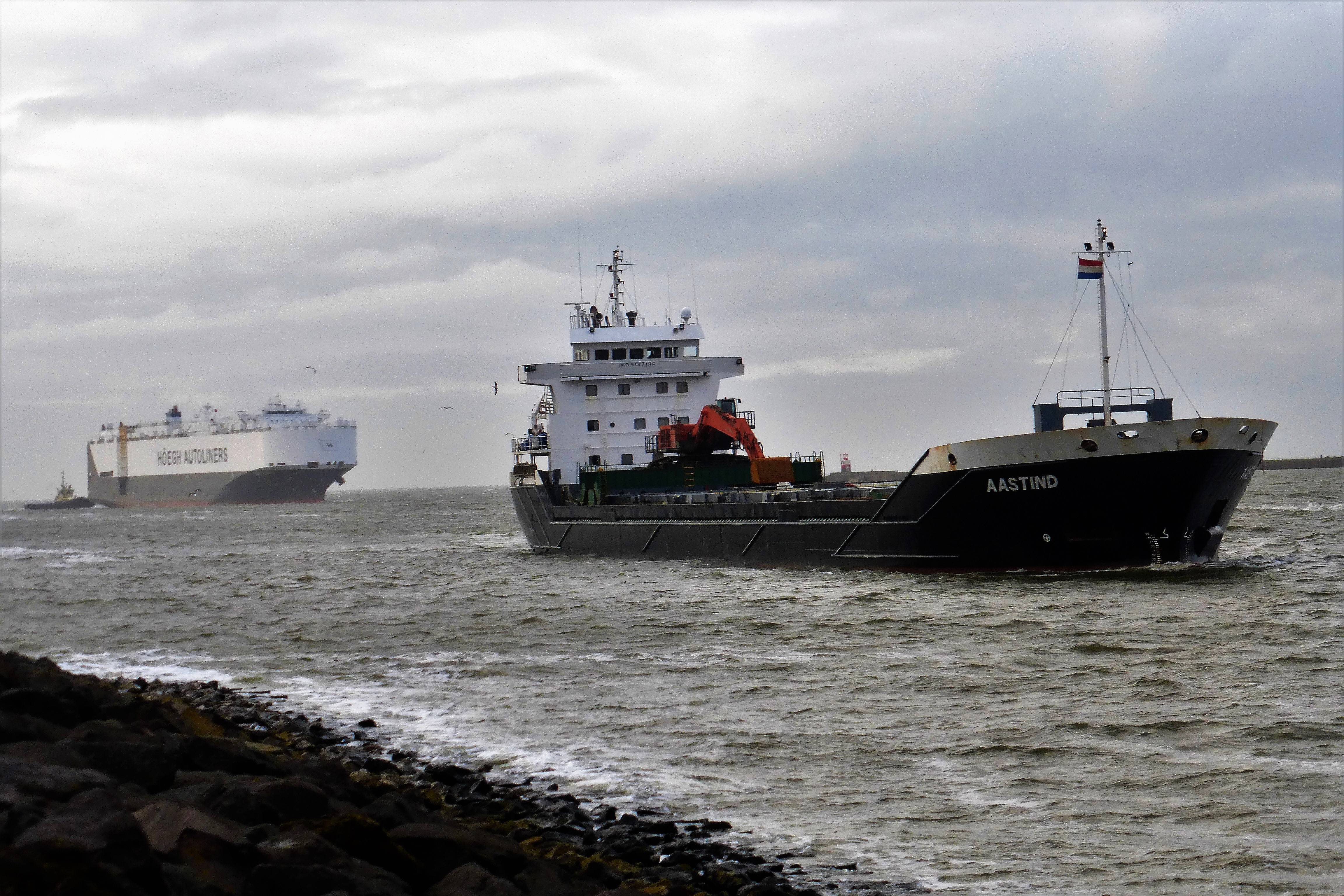 Pieren IJmuiden   29-01-21 